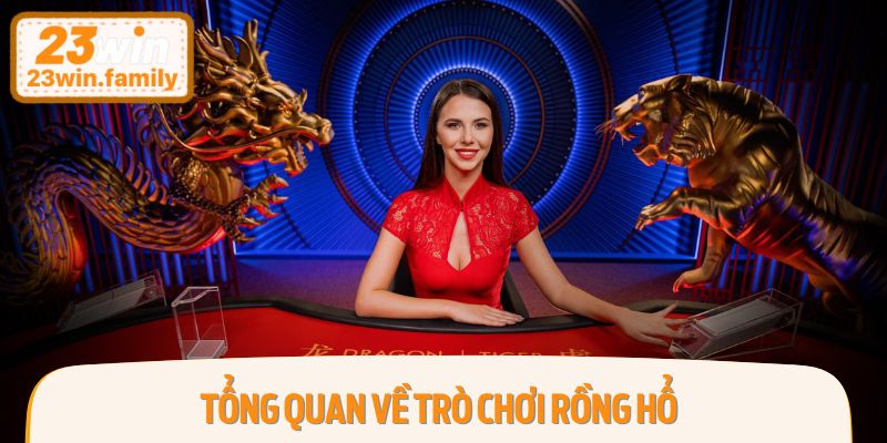 Tổng quan về trò chơi Rồng Hổ