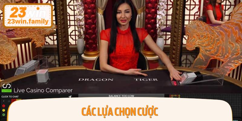 Các lựa chọn cược