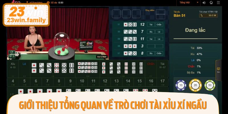 Giới thiệu tổng quan về trò chơi tài xỉu xí ngầu