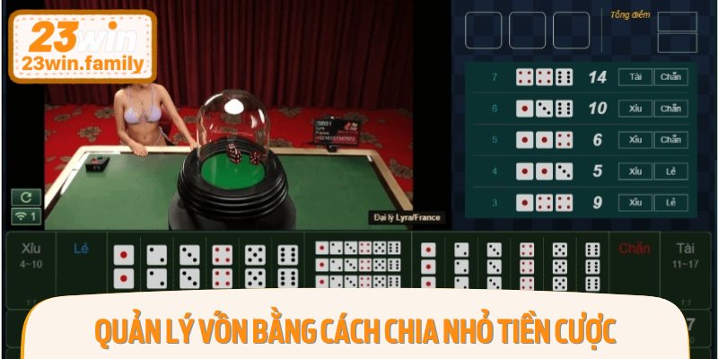 Chiến thuật chuẩn chỉnh để chơi tài xỉu xí ngầu